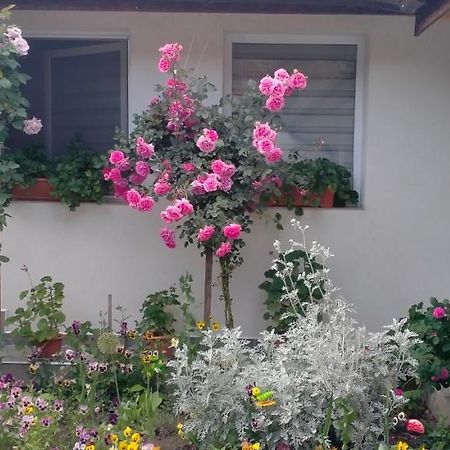 Villa Casa Luminita Ieşelniţa Esterno foto