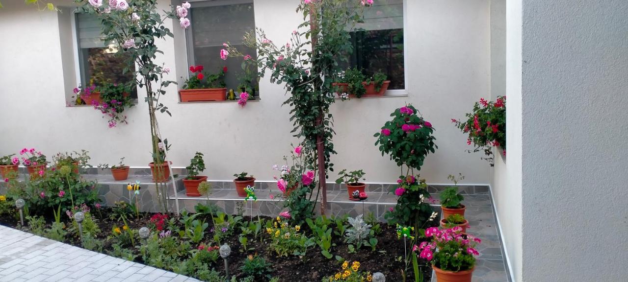Villa Casa Luminita Ieşelniţa Esterno foto