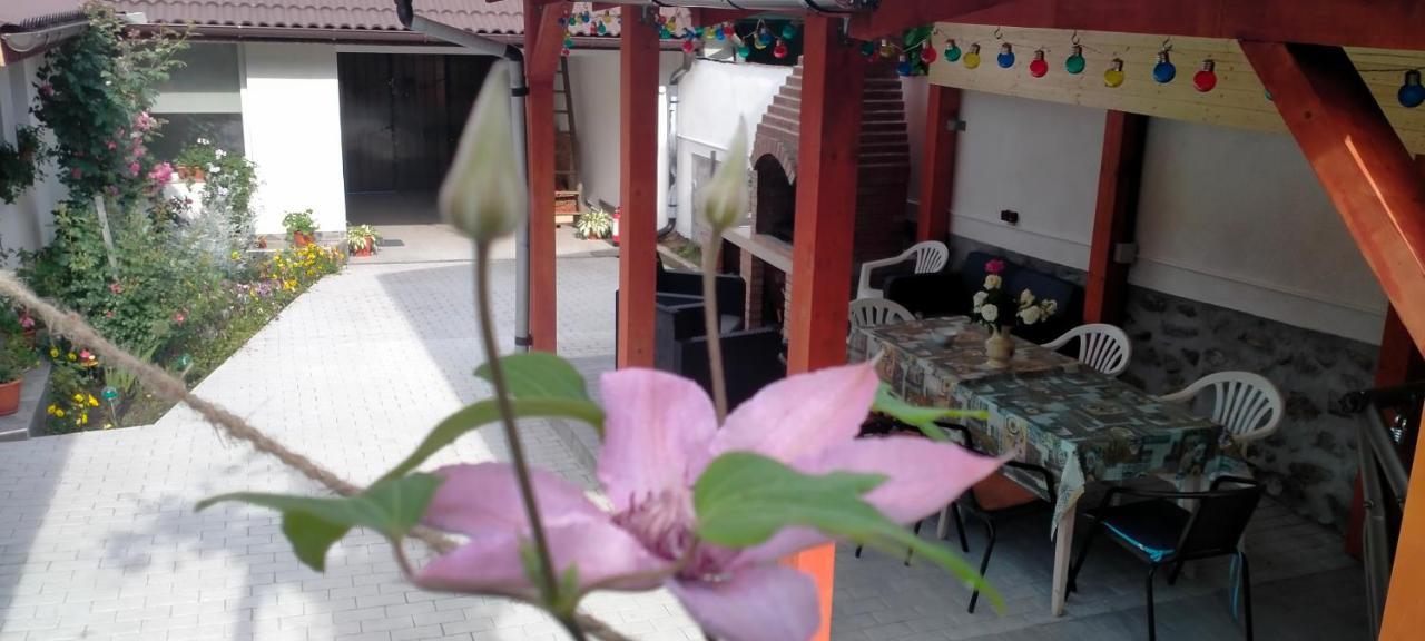 Villa Casa Luminita Ieşelniţa Esterno foto
