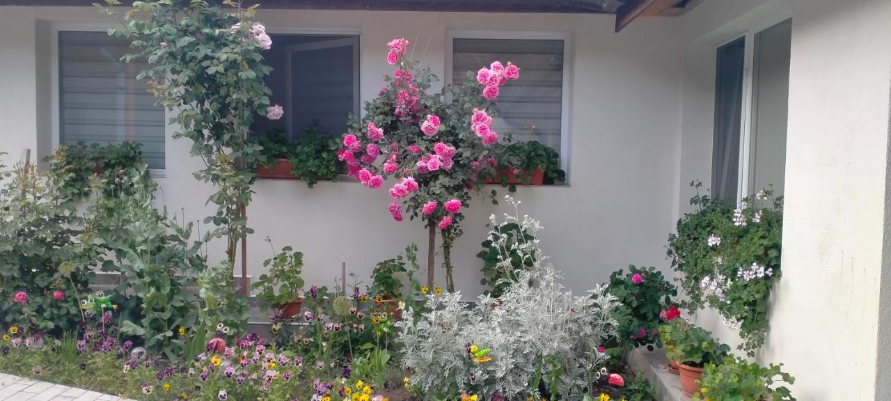 Villa Casa Luminita Ieşelniţa Esterno foto